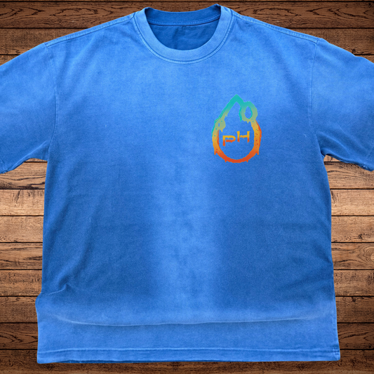 Chakra Vision - Ultra-Heavyweight Vintage Washed Oversized T-Shirt - 300 GSM (Back design)